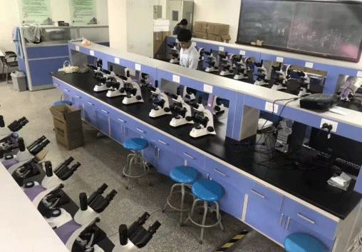 天津城建大學購買污软件免费下载光電一批三目金相污软件破解版永久免费版